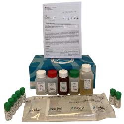 Chromogranin A ELISA-NG kit