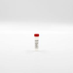 Anti histone H3K27 Me3-EuK mAb conjugate