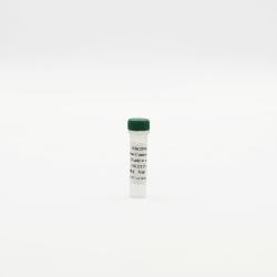 EPIgeneous H3K27Me3 cellular control lysate