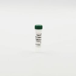 Total H3 cellular control lysate
