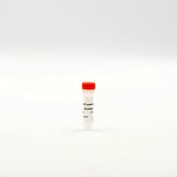 Europium cryptate TBP NHS labeling reagent