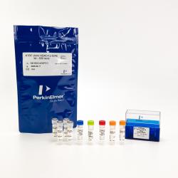 HTRF Human and Mouse Phospho-HDAC4 Ser246 Detection Kit
